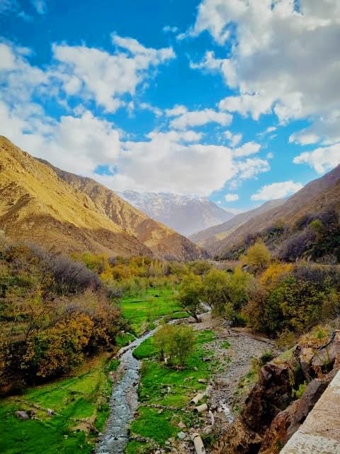 Day Hike to Tasghimout Plateau (2600m) - 5